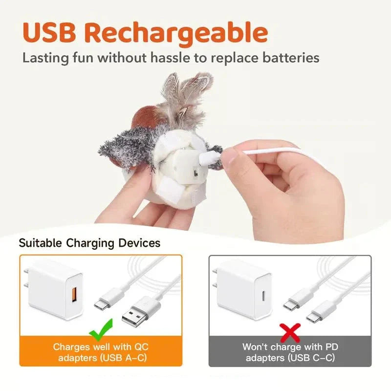 Chirpy Cat Toy