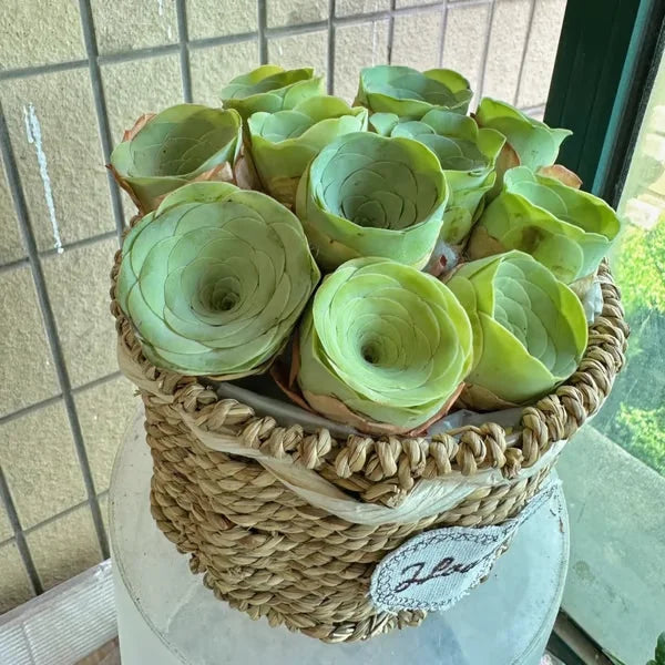 Easy-Grow Rose Seeds