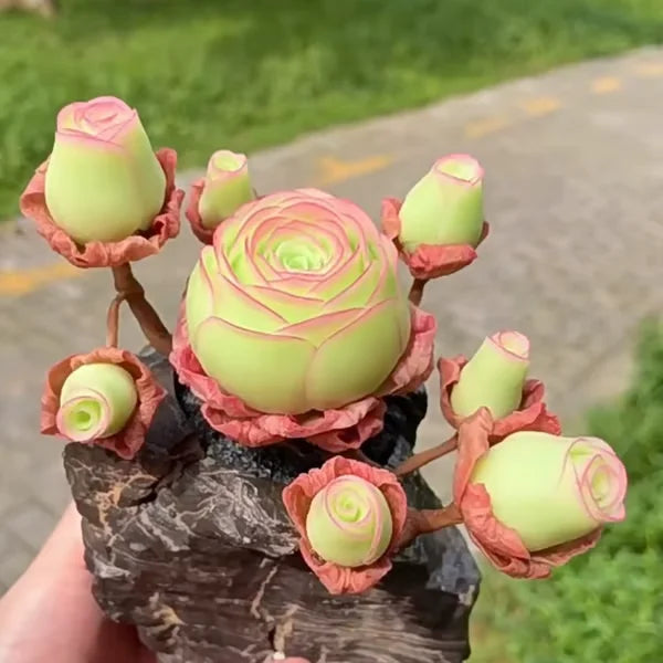 Easy-Grow Rose Seeds