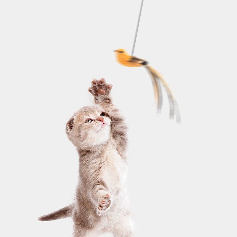 Cat Toy - HunterCat™