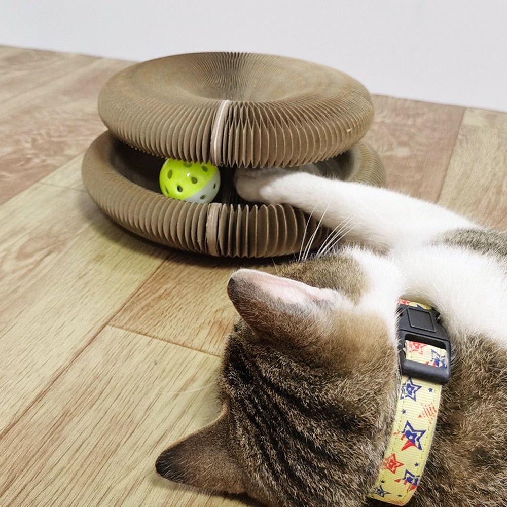 Cats Scratching Board - PetCordion