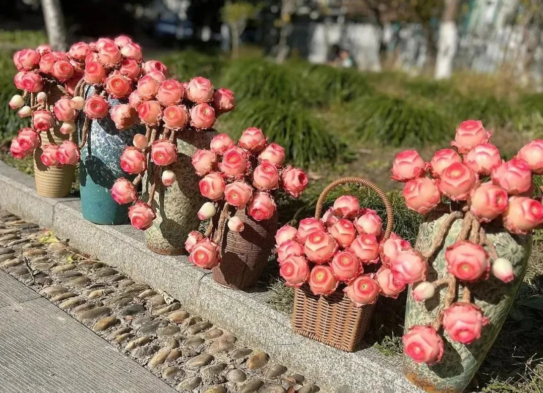 Easy-Grow Rose Seeds
