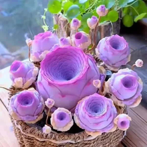 Easy-Grow Rose Seeds