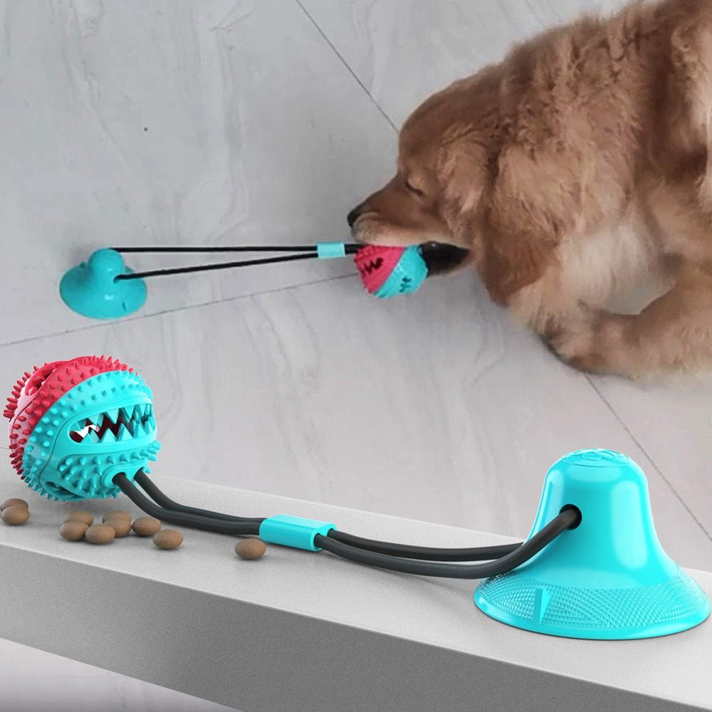 Interactive Dog Toy