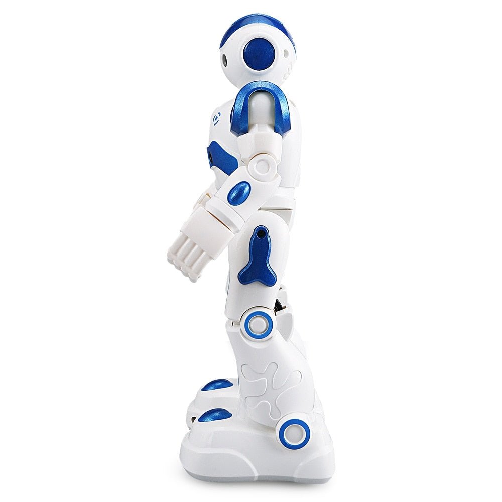 Smart Robot Smart Toy