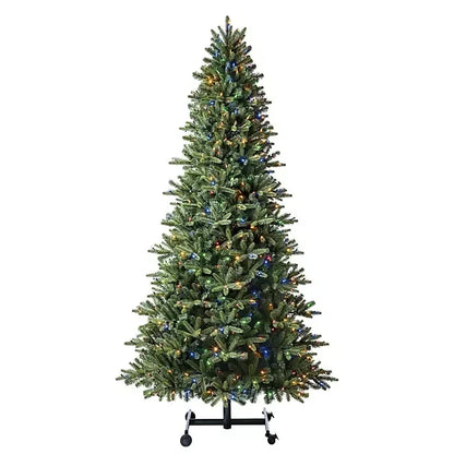 Lumina Fir