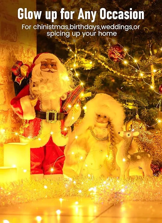 FestivaGlow Decor Led Christmas lights