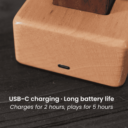 MarinerPoet™ Handcrafted Wooden Manta Ray Automaton