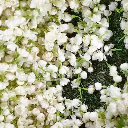 Premium Jasmine Seeds