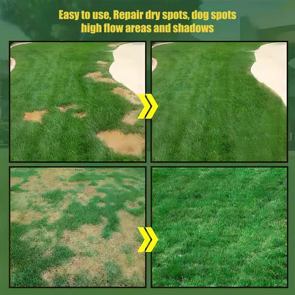 Premium Grass Seeds