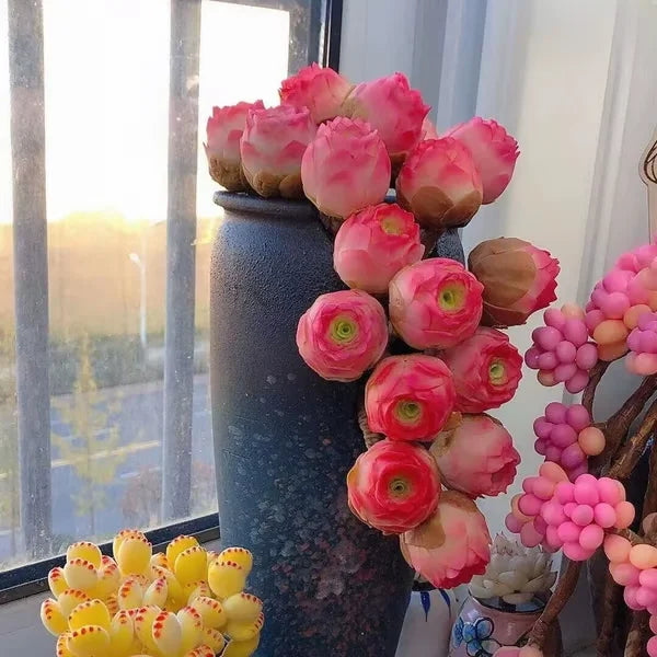 Easy-Grow Rose Seeds