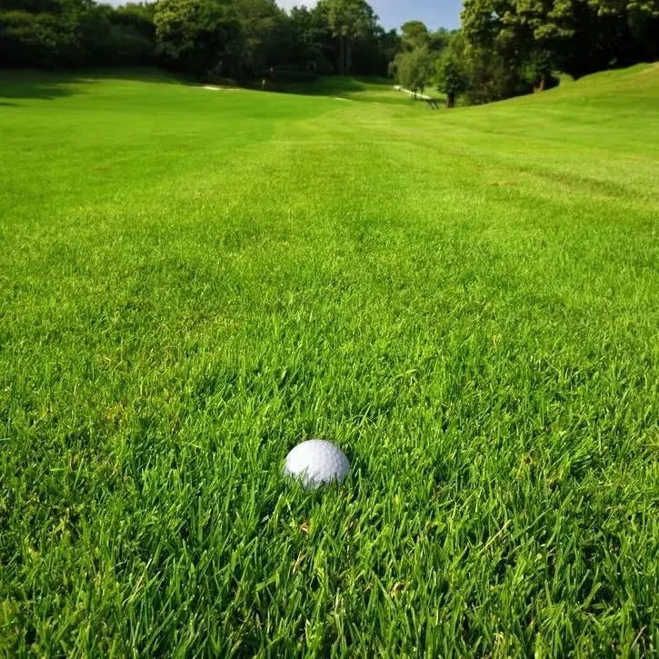 Premium Grass Seeds