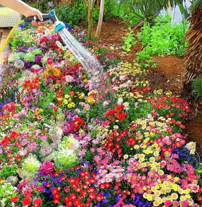 Mixed Flowers Seeds