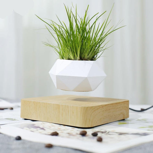Float Magic Flower Pot