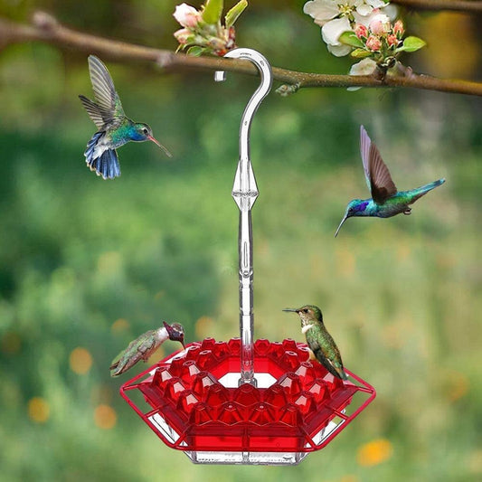 Hummingbird Feeder With Perch And Built-in Ant Moat
