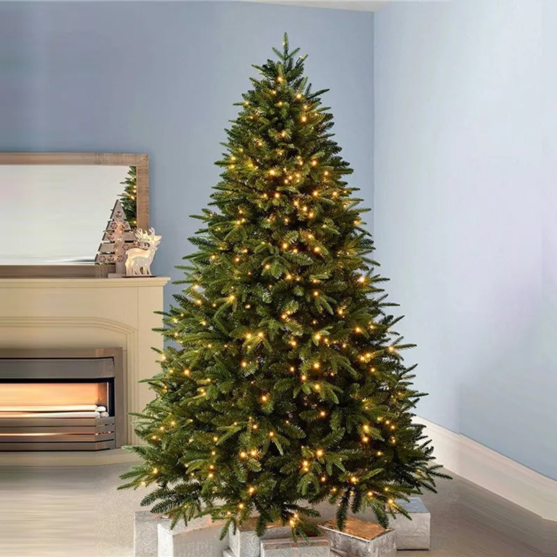 Lumina Fir