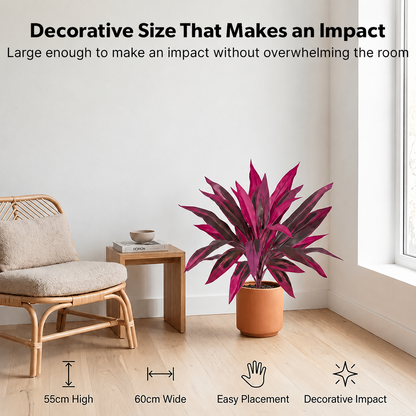 Tropical Color Patio Plant Set