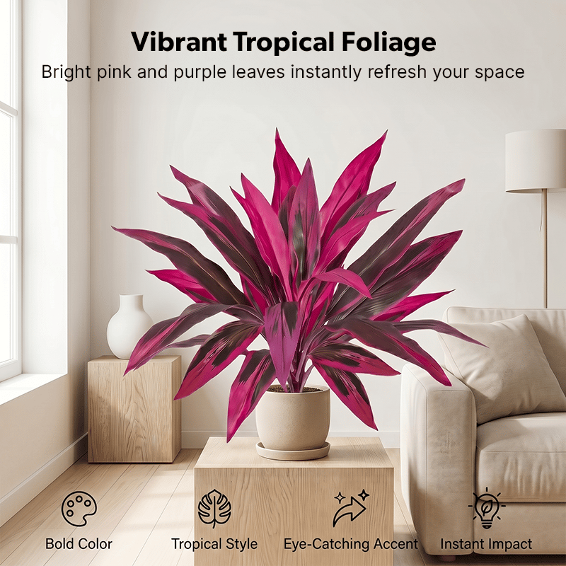 Tropical Color Patio Plant Set
