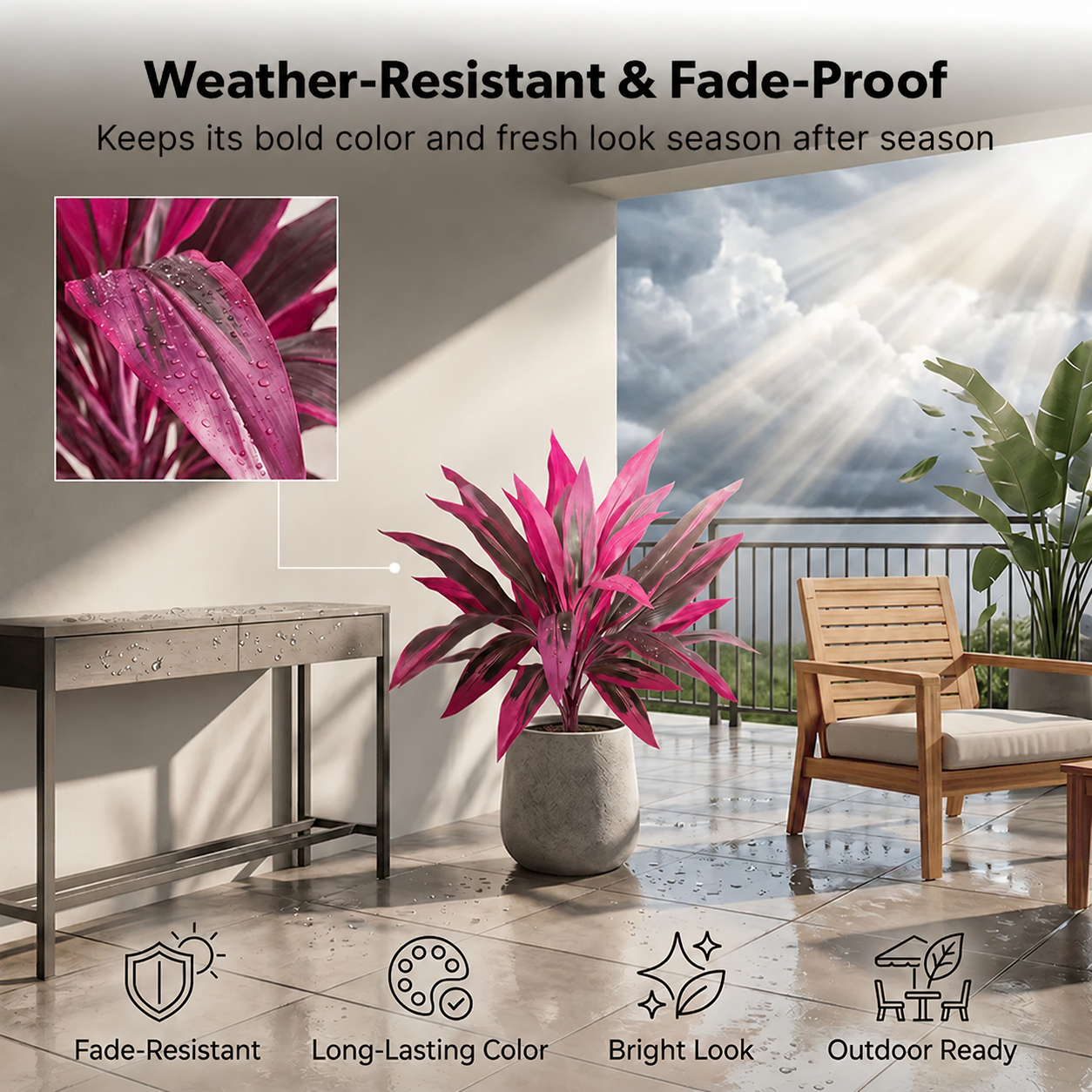 Tropical Color Patio Plant Set