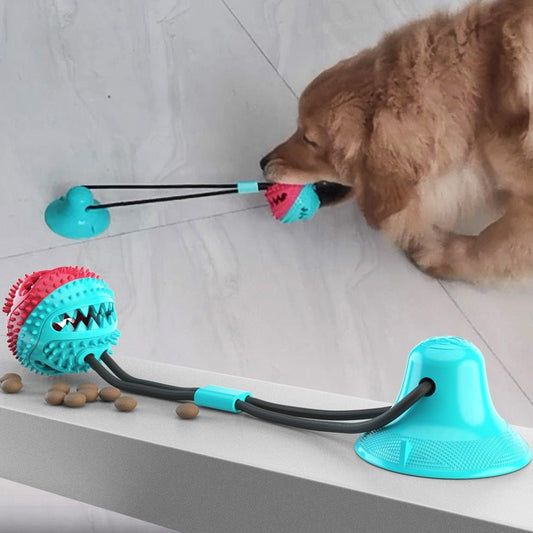 Interactive Dog Toy