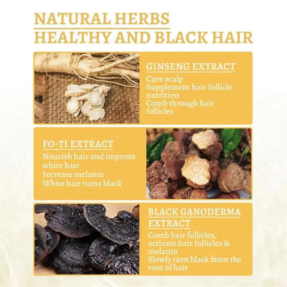 Revive Black Oil - Rejuvenate Hair Naturally