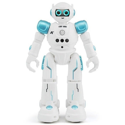 Smart Robot Smart Toy
